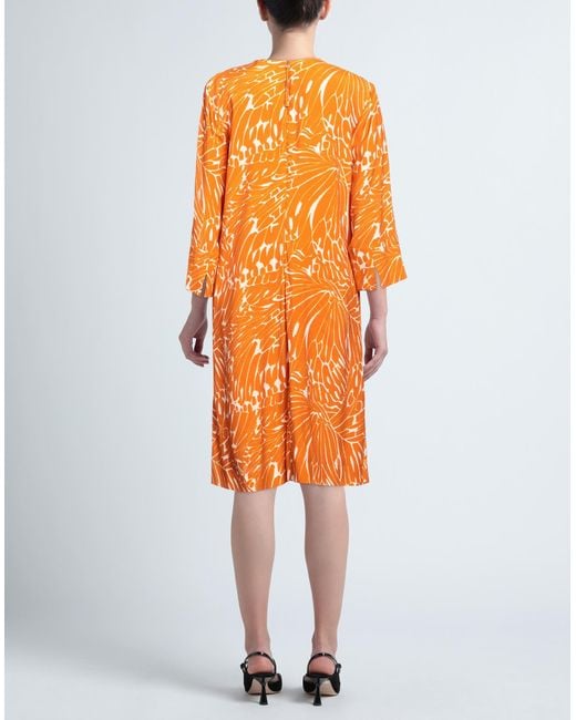 Windsor. Orange Midi Dress