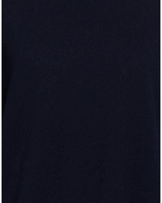 Alpha Studio Blue Sweaters