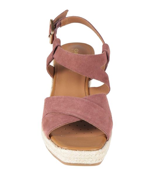 Geox Brown Espadrilles Leather