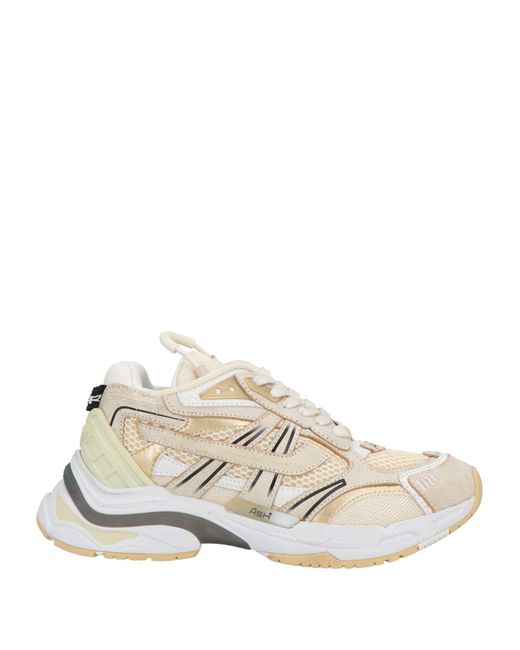 Ash White Trainers