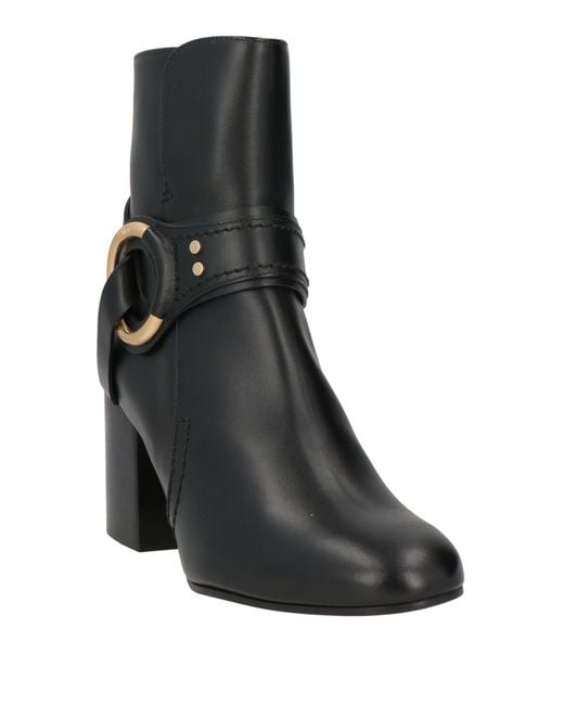 Chloé Black Ankle Boots Calfskin