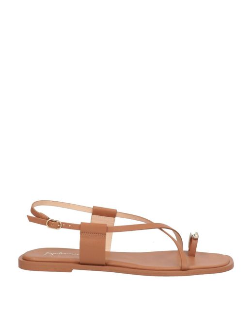 Guilhermina Brown Thong Sandals