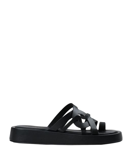 Alohas Black Thong Sandal