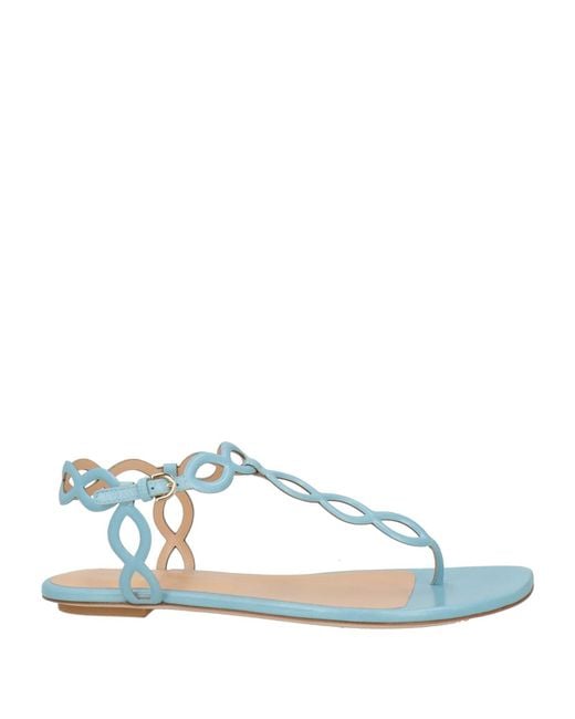 Sergio Rossi Blue Thong Sandals