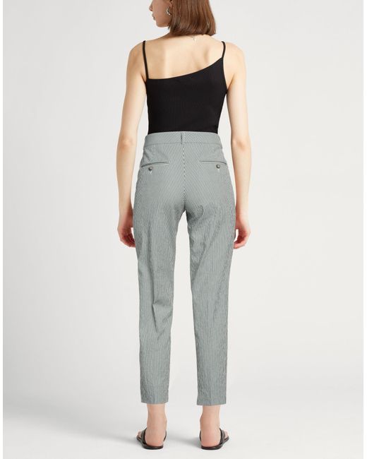 Peserico Gray Hose