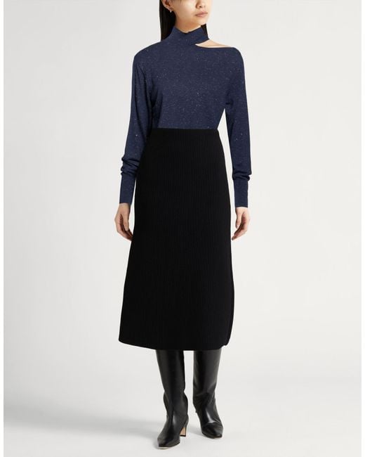 Peserico Blue Turtlenecks