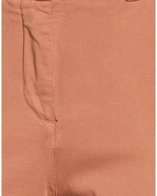 Peuterey Brown Pants Cotton, Elastomultiester, Elastane