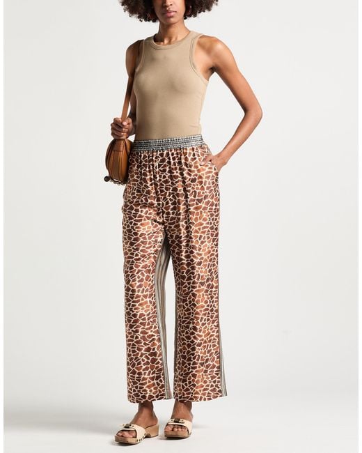 ME 369 Brown Trouser