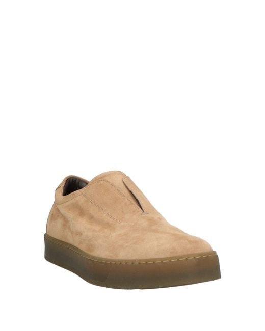 Pantanetti Brown Sneakers for men