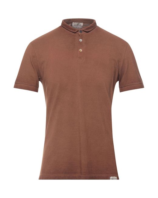 Brooksfield Brown Polo Shirt Cotton for men