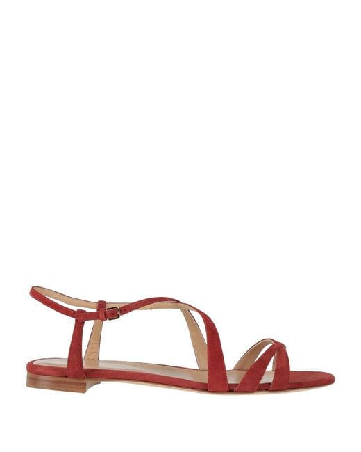 Sergio Rossi Brown Sandals