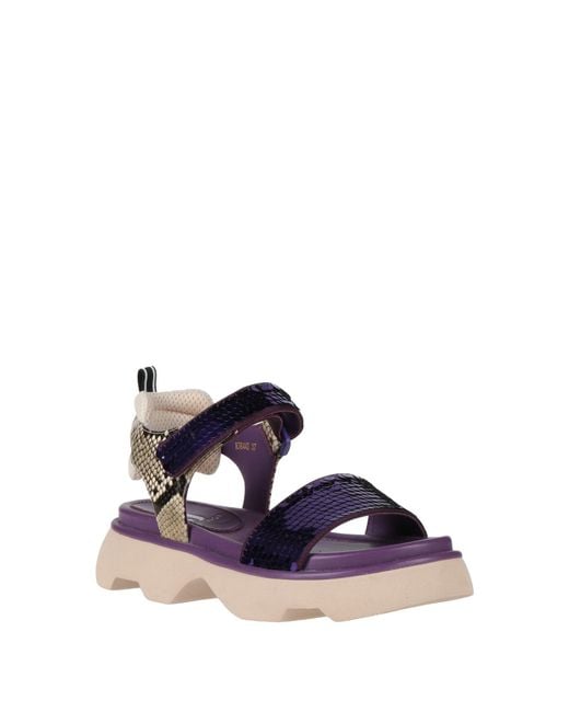 Jeannot Purple Sandals
