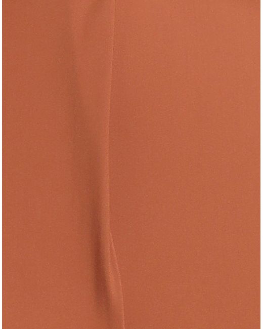 Maliparmi Brown Trouser