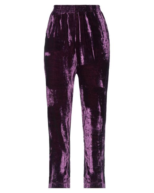 HOD Purple Trouser