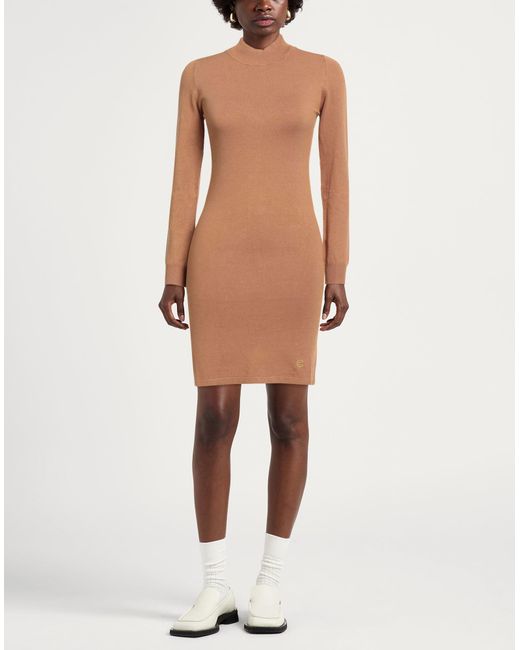Cristinaeffe Brown Mini Dress