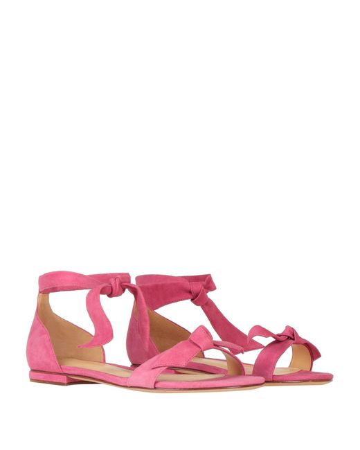 Alexandre Birman Pink Sandals