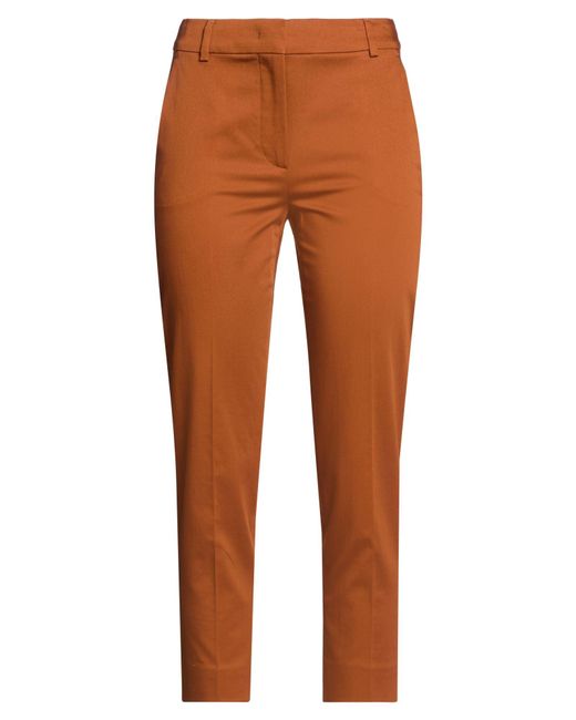 Max Mara Brown Pants Cotton, Elastane