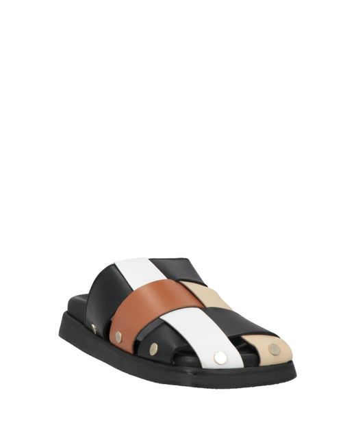 Alohas Black Mules & Clogs