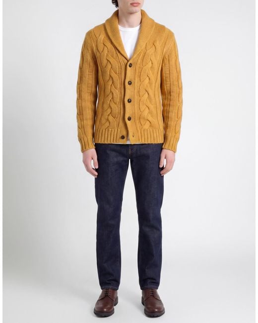 Gran Sasso Metallic Cardigan Virgin Wool, Polyamide for men