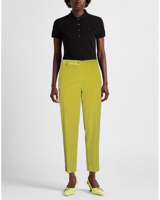 P.A.R.O.S.H. Yellow Hose