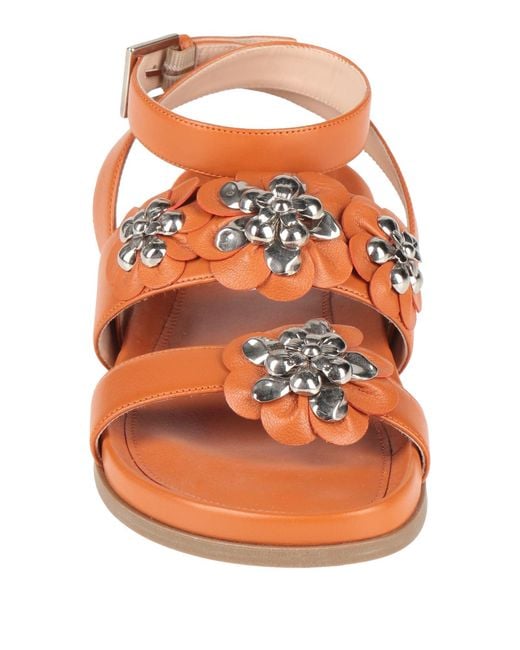 Rodo Brown Sandals