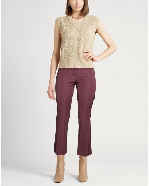 PT Torino Purple Pants