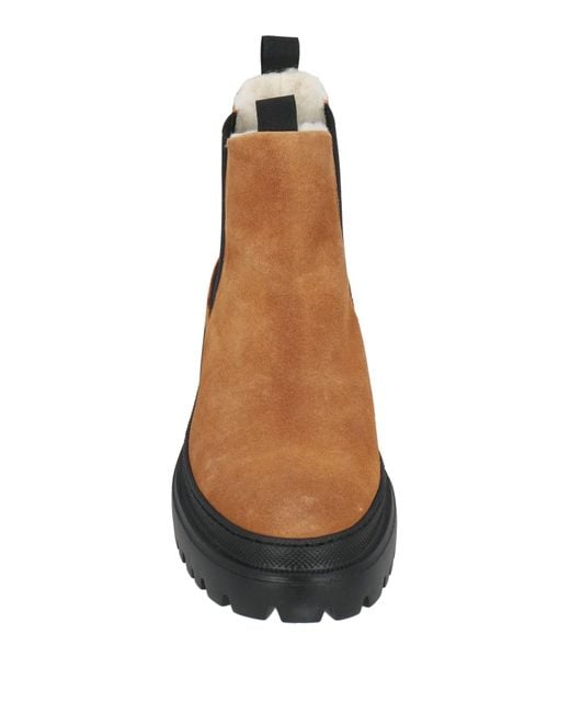 Pollini Brown Ankle Boots