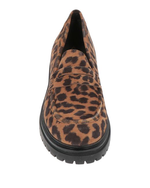 Emanuélle Vee Brown Loafer