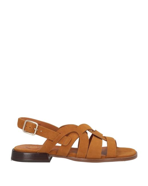 Chie Mihara Brown Sandale