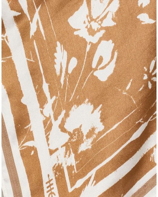 High Brown Winding -- Scarf Silk