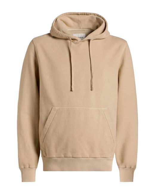 Circolo 1901 Natural Sweatshirt Cotton, Elastane for men