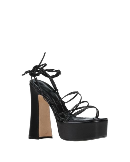 NCUB Black Sandals