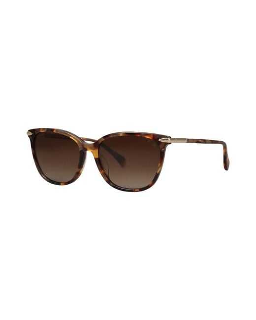 Rag & Bone Brown Sunglasses
