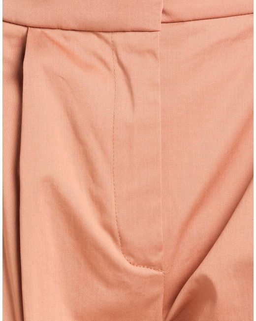 Aniye By Pink Camel Pants Cotton, Elastane