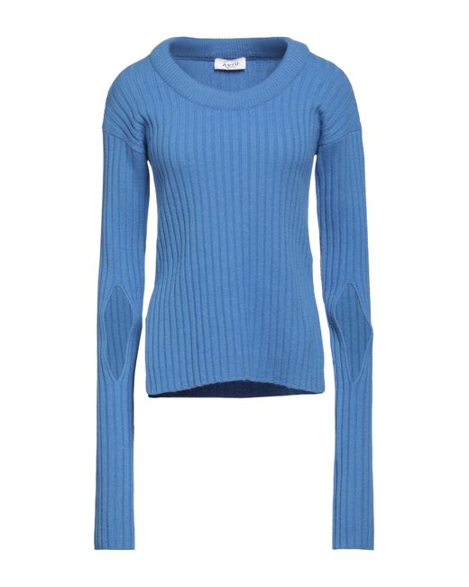 Aviu Blue Sweater
