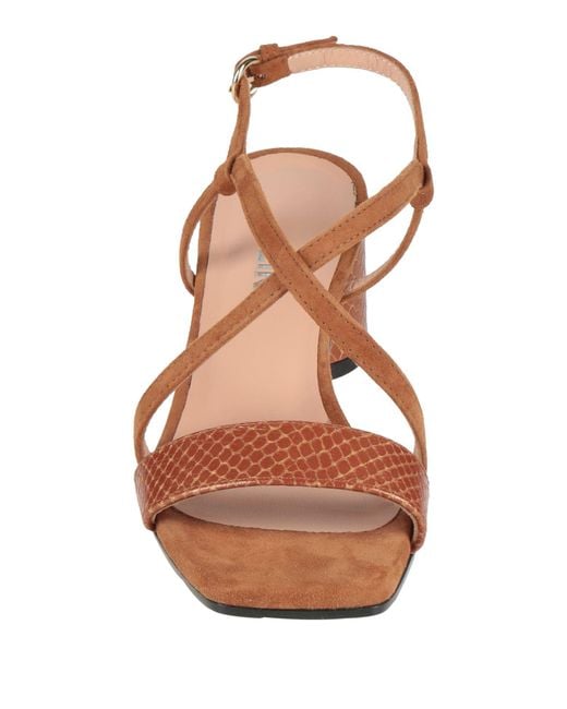 Pollini Brown Sandals