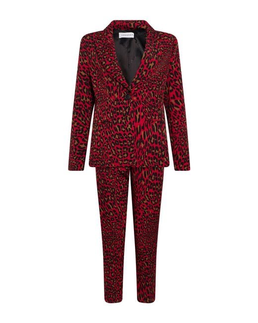 Shirtaporter Red Suit