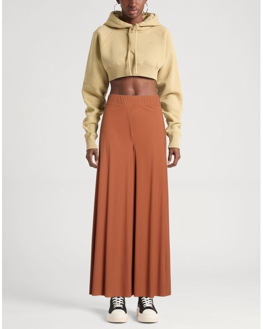 Maliparmi Brown Trouser