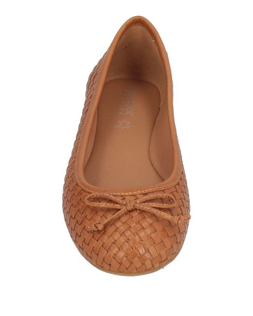 Geox Brown Ballet Flats Soft Leather