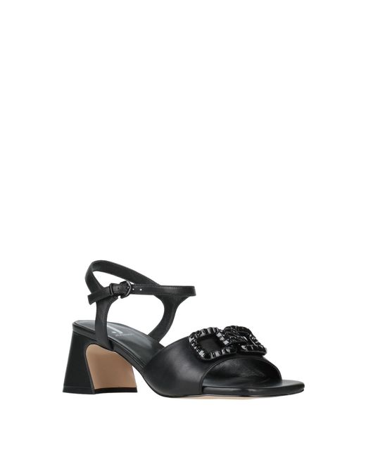 Jeannot Black Sandals