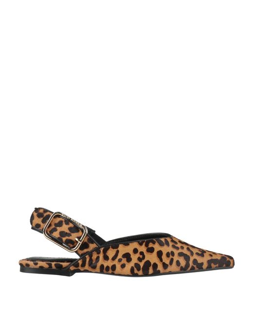 Steve Madden Brown Ballet Flats