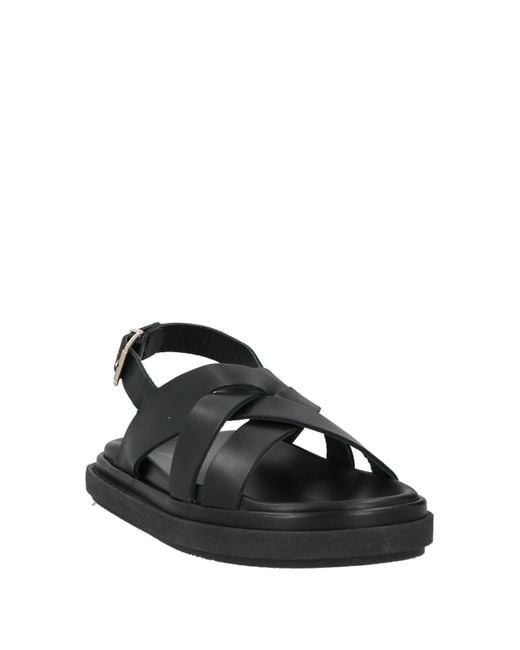 Alohas Black Sandals