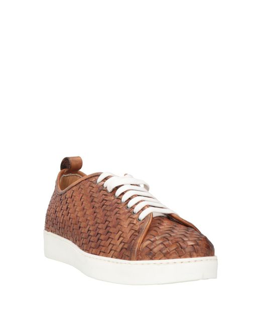 Roberto Botticelli Brown Sneakers for men