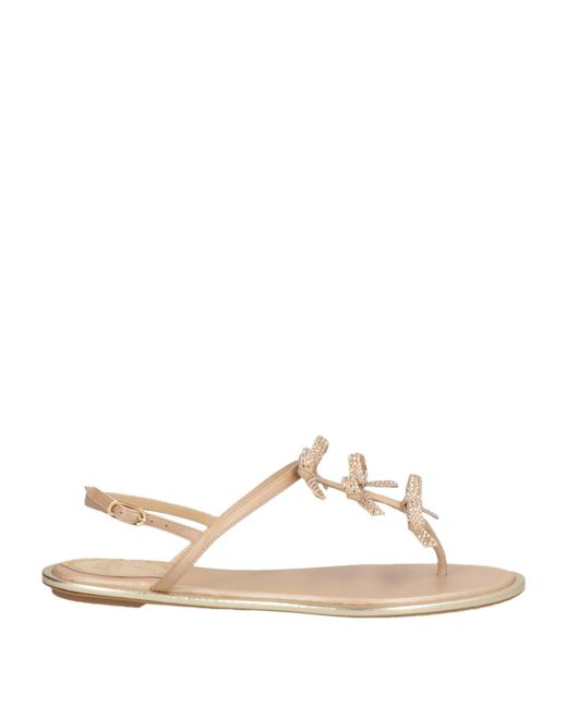 Rene Caovilla Natural Thong Sandals