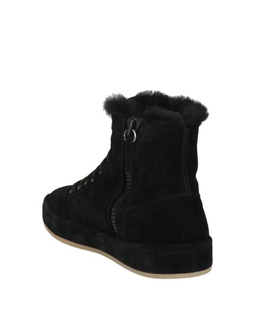 Sneakers Giuseppe Zanotti en coloris Black
