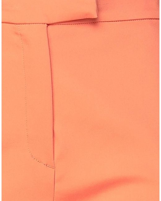 Clips More Orange Trouser