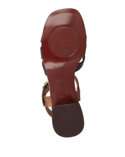 Chie Mihara Brown Sandals