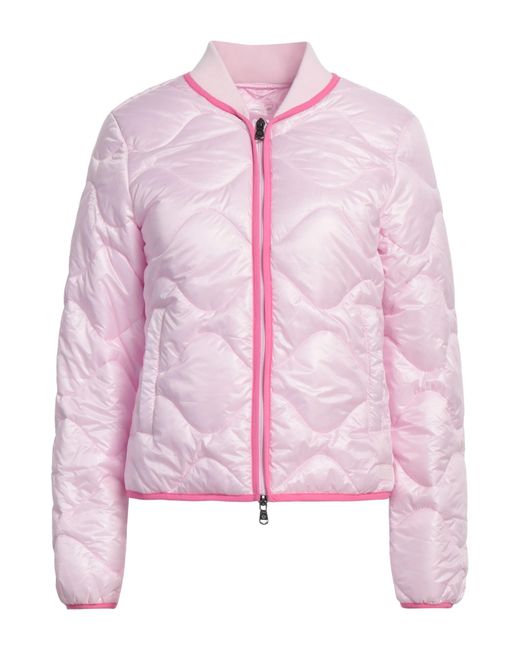 Canadian Pink Puffer