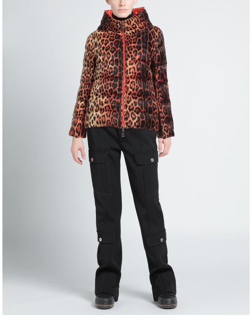 No Secrets Red Puffer