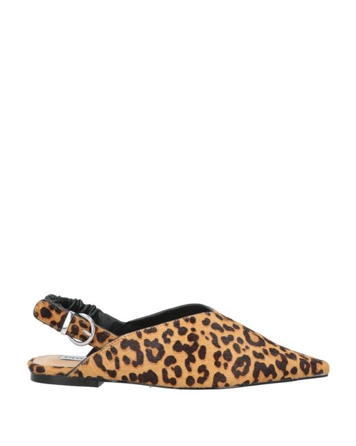 Steve Madden Brown Ballet Flats